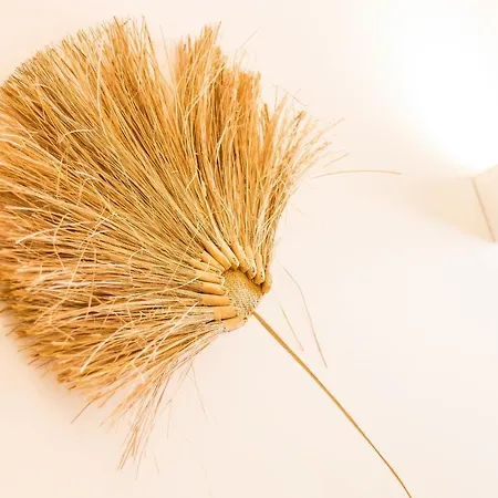 Canto Mar By Alzira *