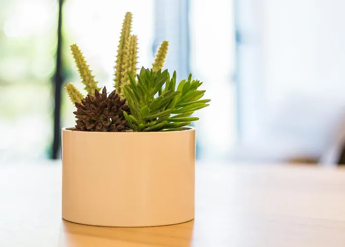 Апартаменты Canto Mar By Alzira Албуфейра