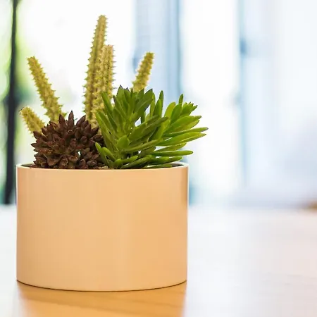 דירה Canto Mar By Alzira אלבופיירה